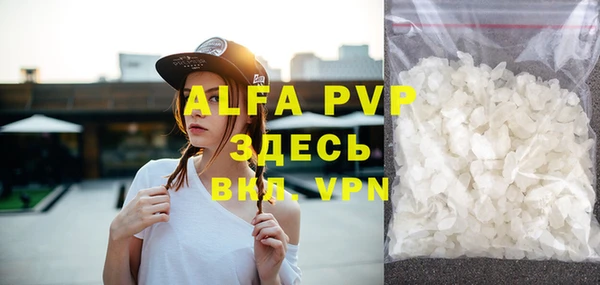 прущие грибы Абинск