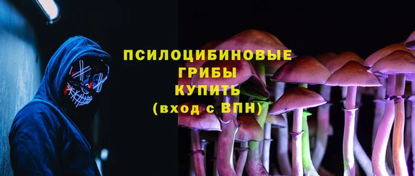 дживик Алексин