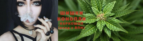 прущие грибы Абинск