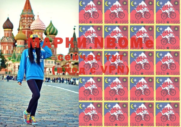 прущие грибы Абинск