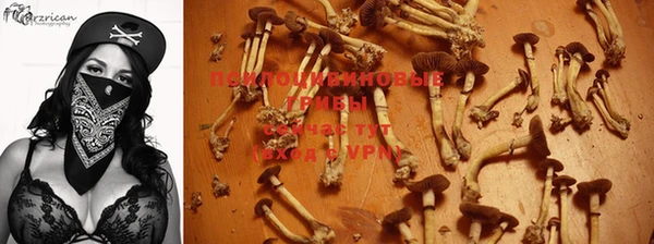 дживик Алексин