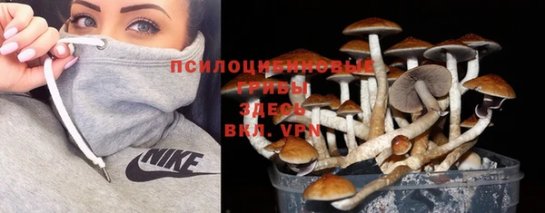 дживик Алексин