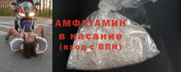 прущие грибы Абинск